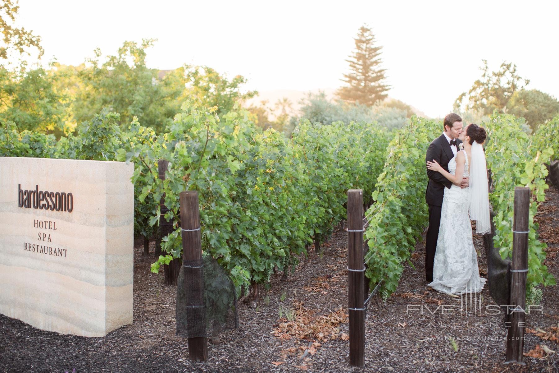 A vineyard wedding at Bardessono in Yountville, Napa Valley