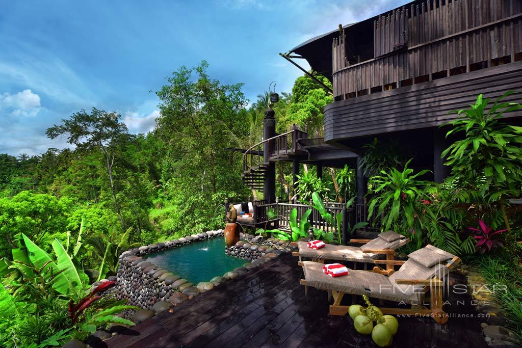 Plunge Pool and Deck at Capella Ubud, Indonesia