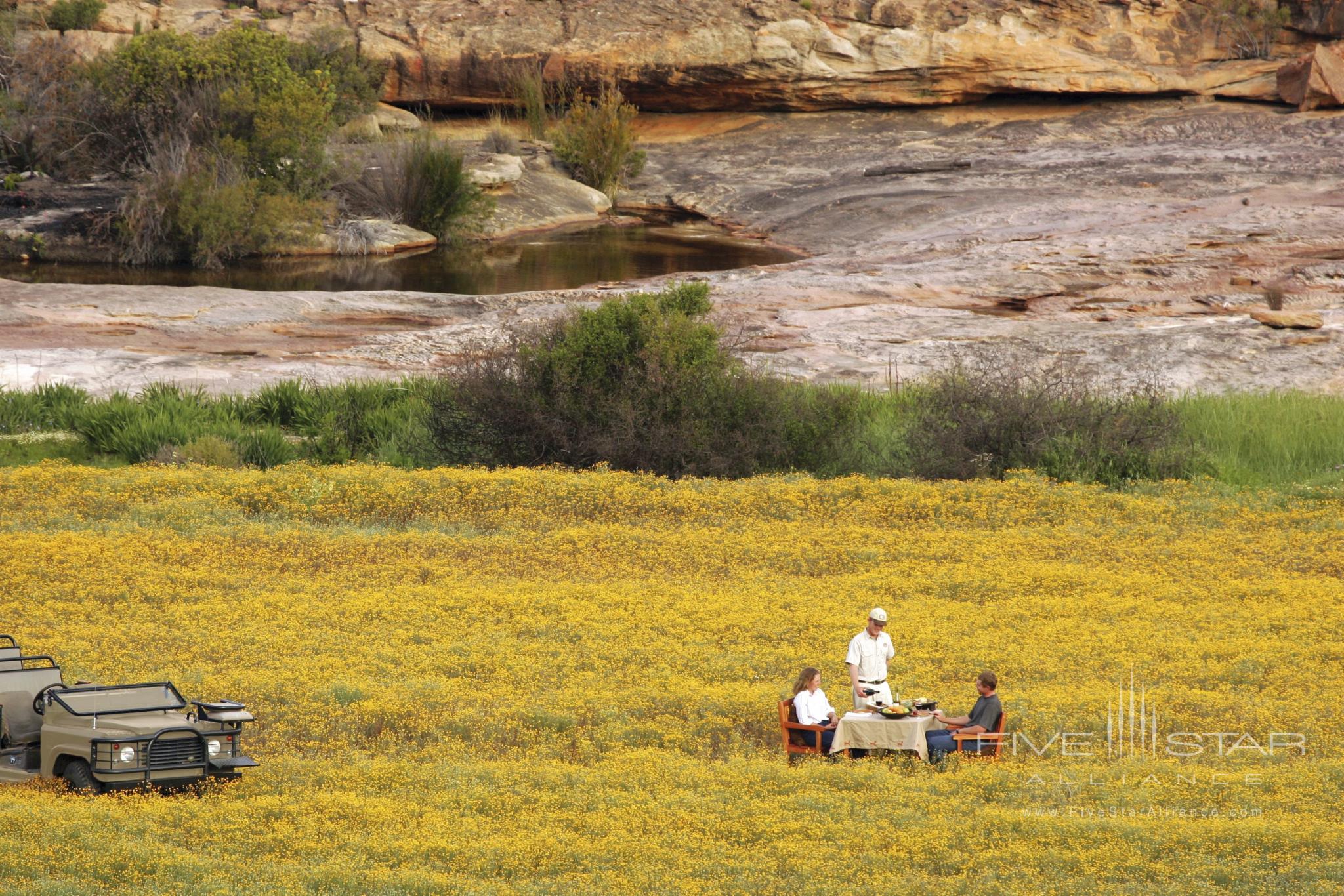 Bushmans Kloof Picnics