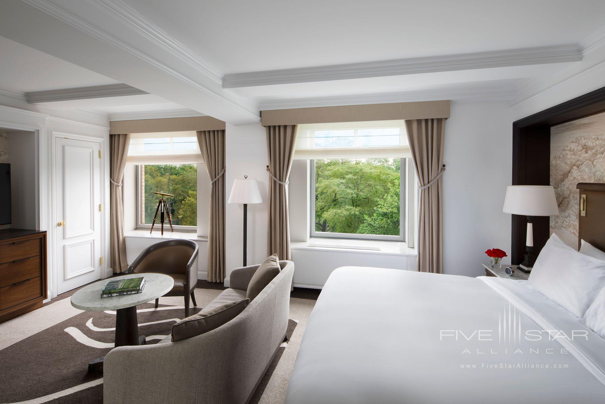 The Ritz-Carlton New York Central Park Park View Room