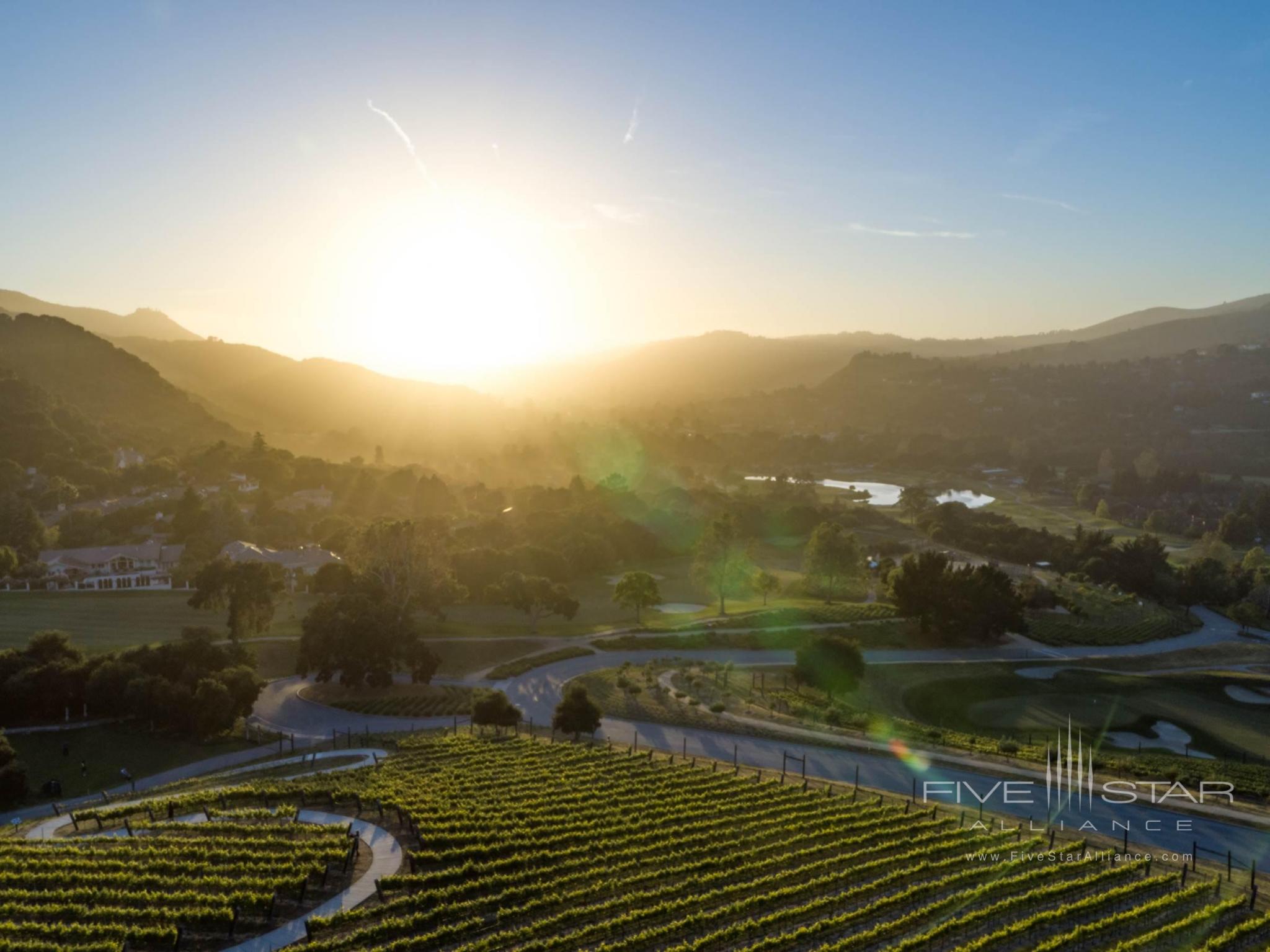 Carmel Valley Ranch Vineyard