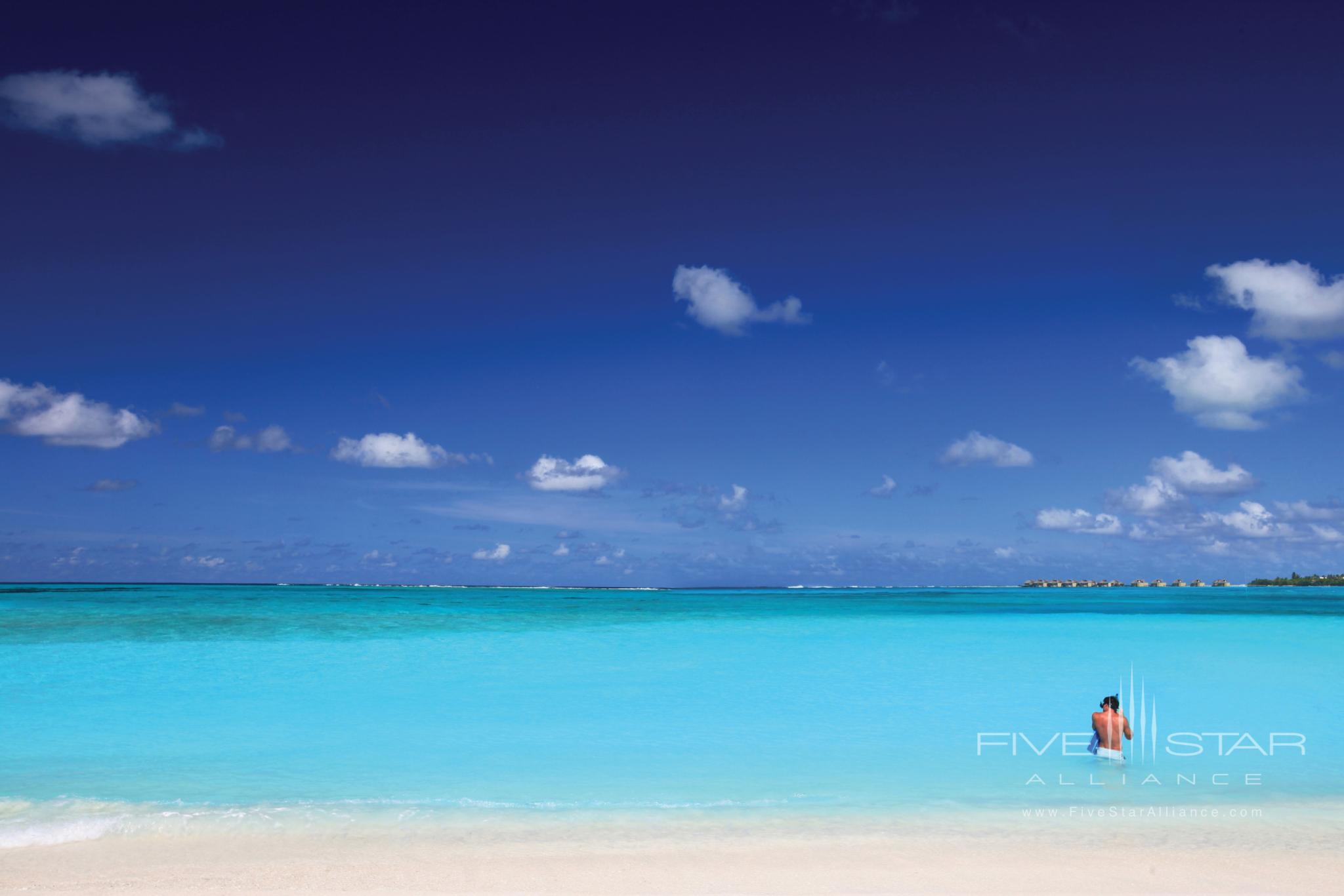 Sandbank Snorkeling at Six Senses Laamu