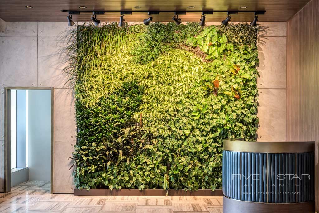 Living Wall at the DOUGLAS, Vancouver, BC