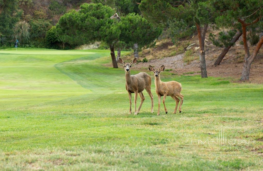 The Ranch at Laguna Beach, California