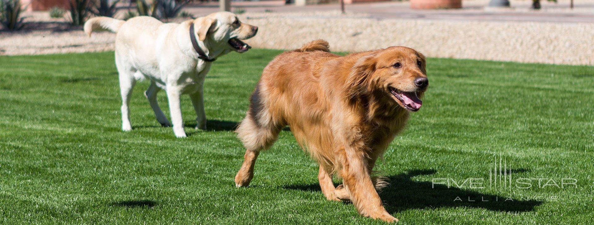 Fairmont Scottsdale Princess Canine Ambassadors