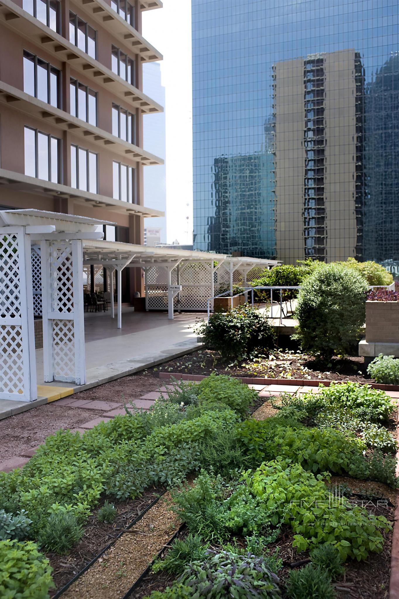 Terrace Herb Garden