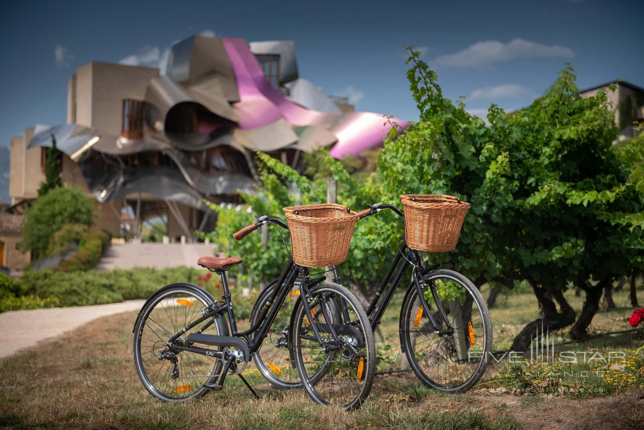 Hotel Marques De Riscal