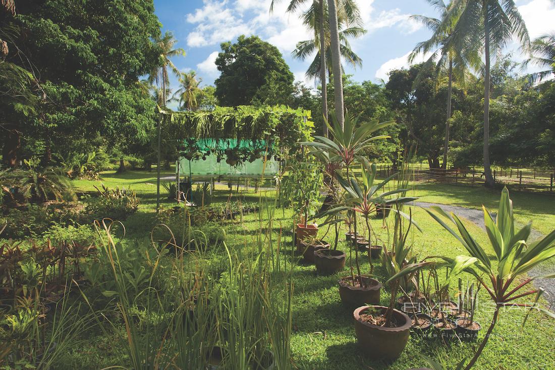 Belmond Napasi