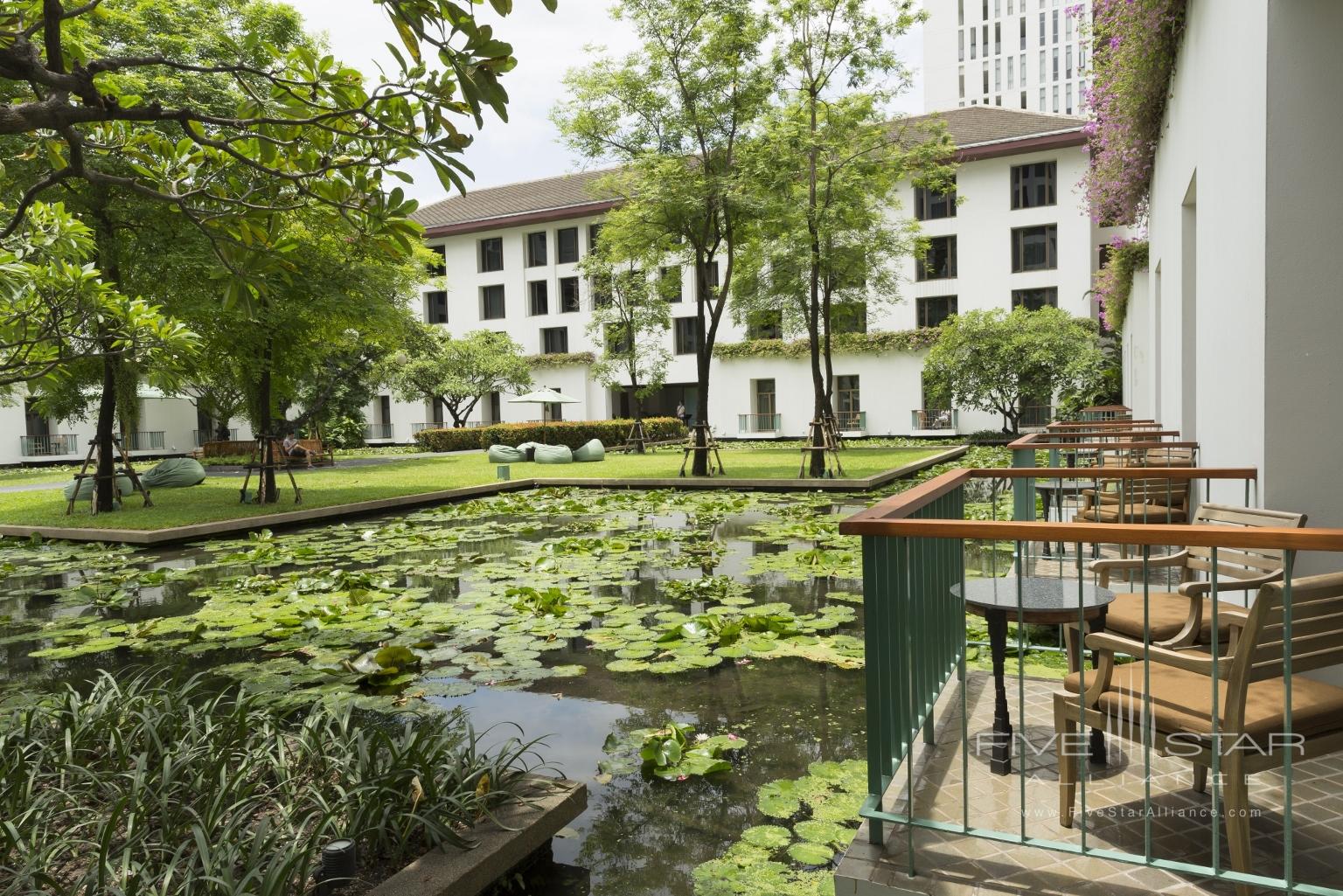 Balcony Lotus Pond