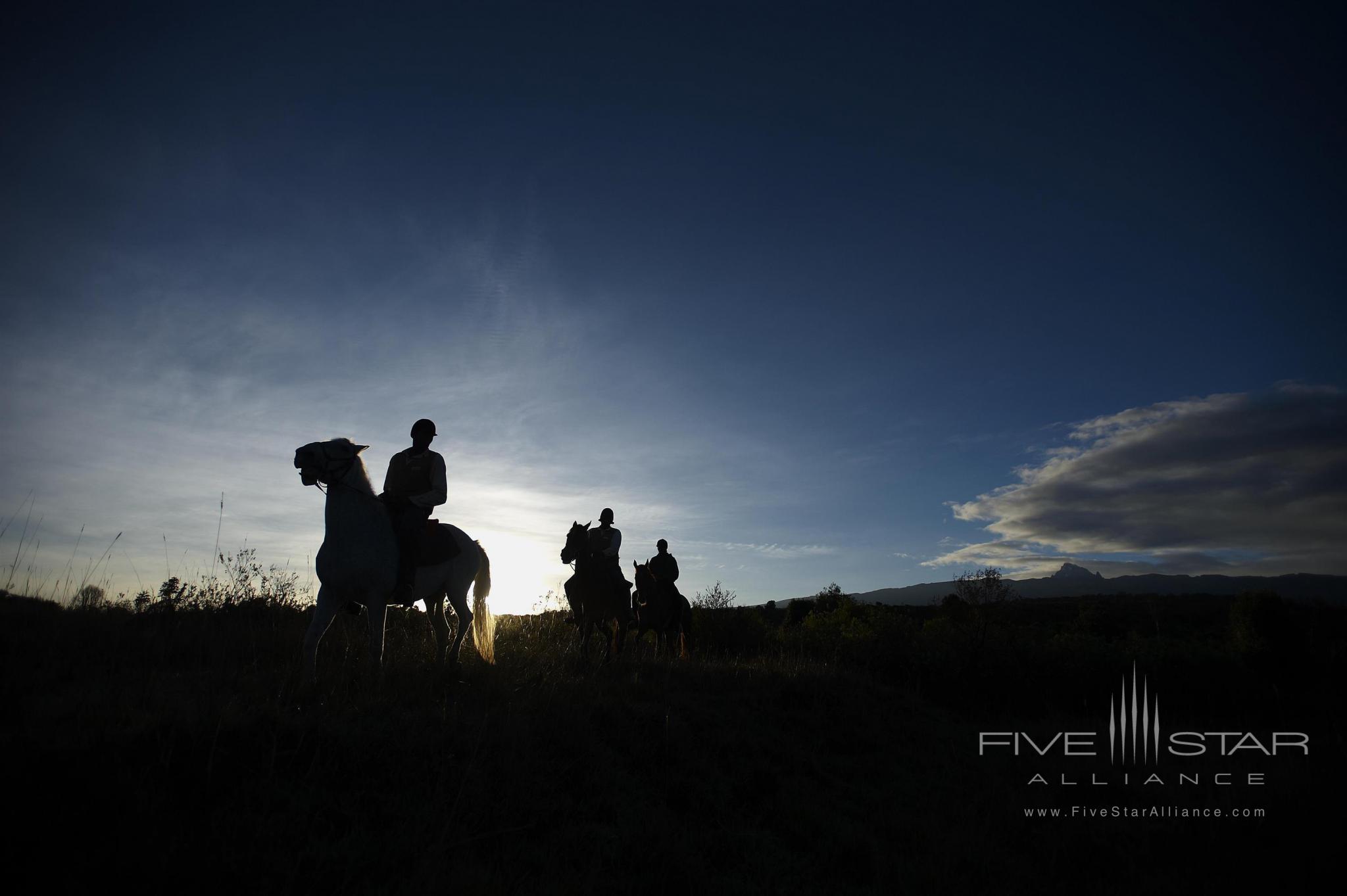 Horse Riding at dawn