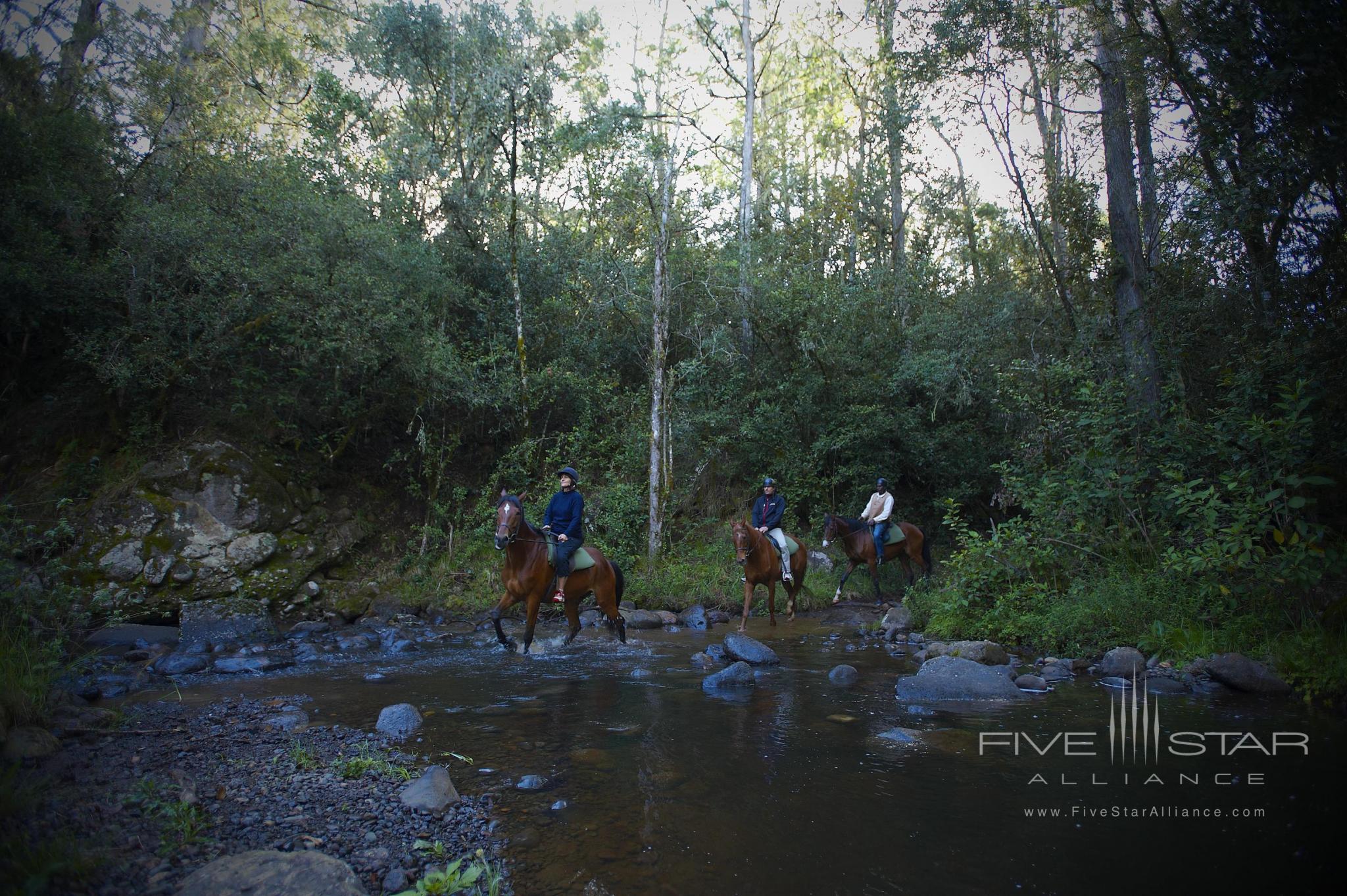 Horse Riding through the River Likki