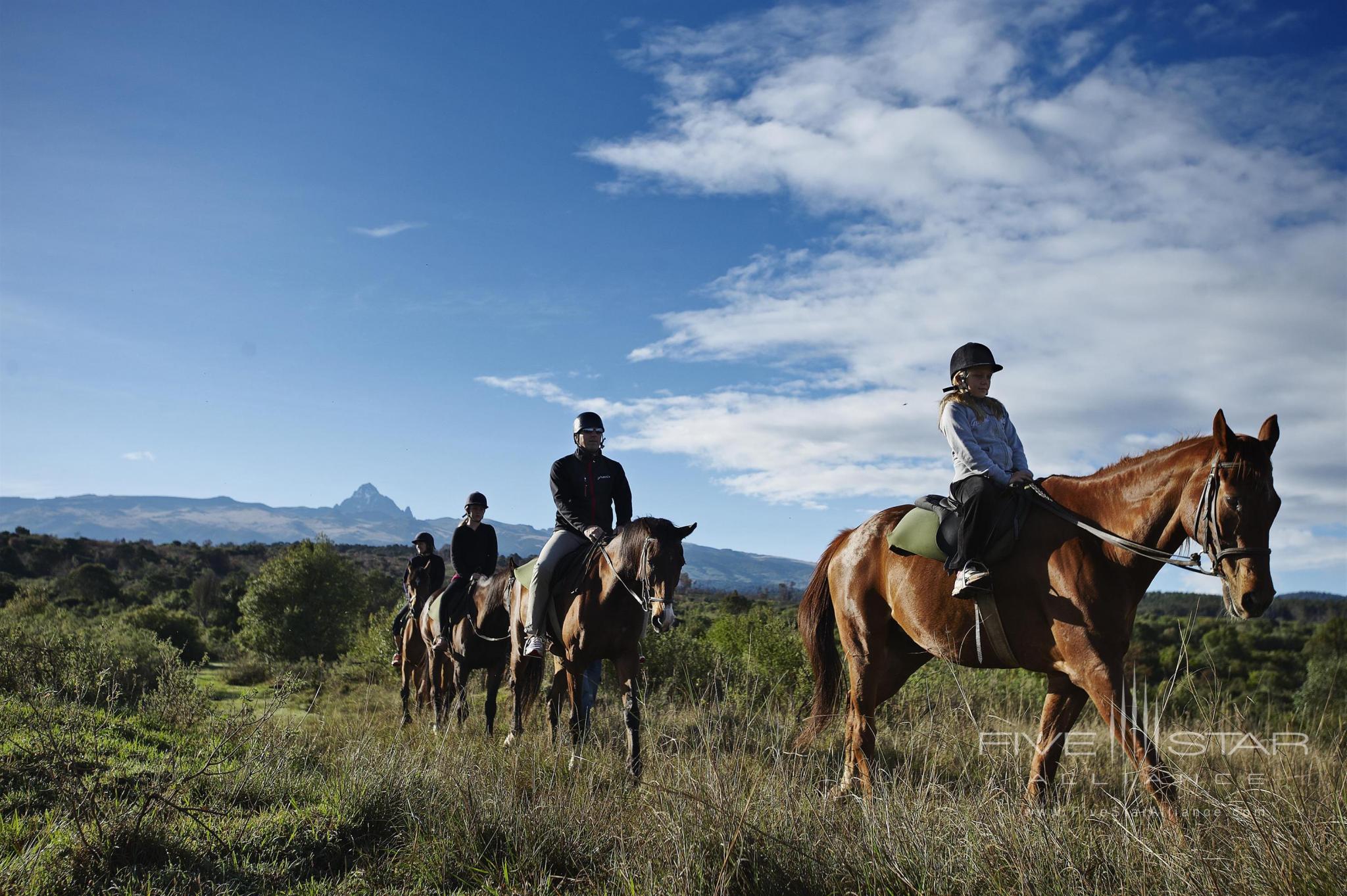 Horse Riding