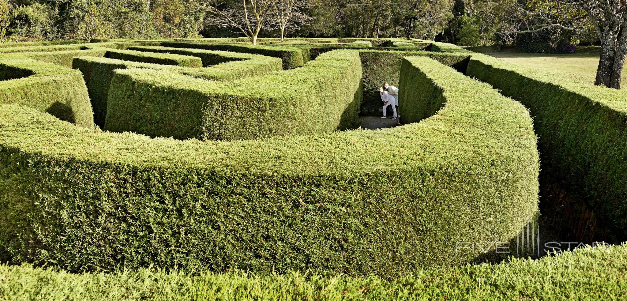 Maze