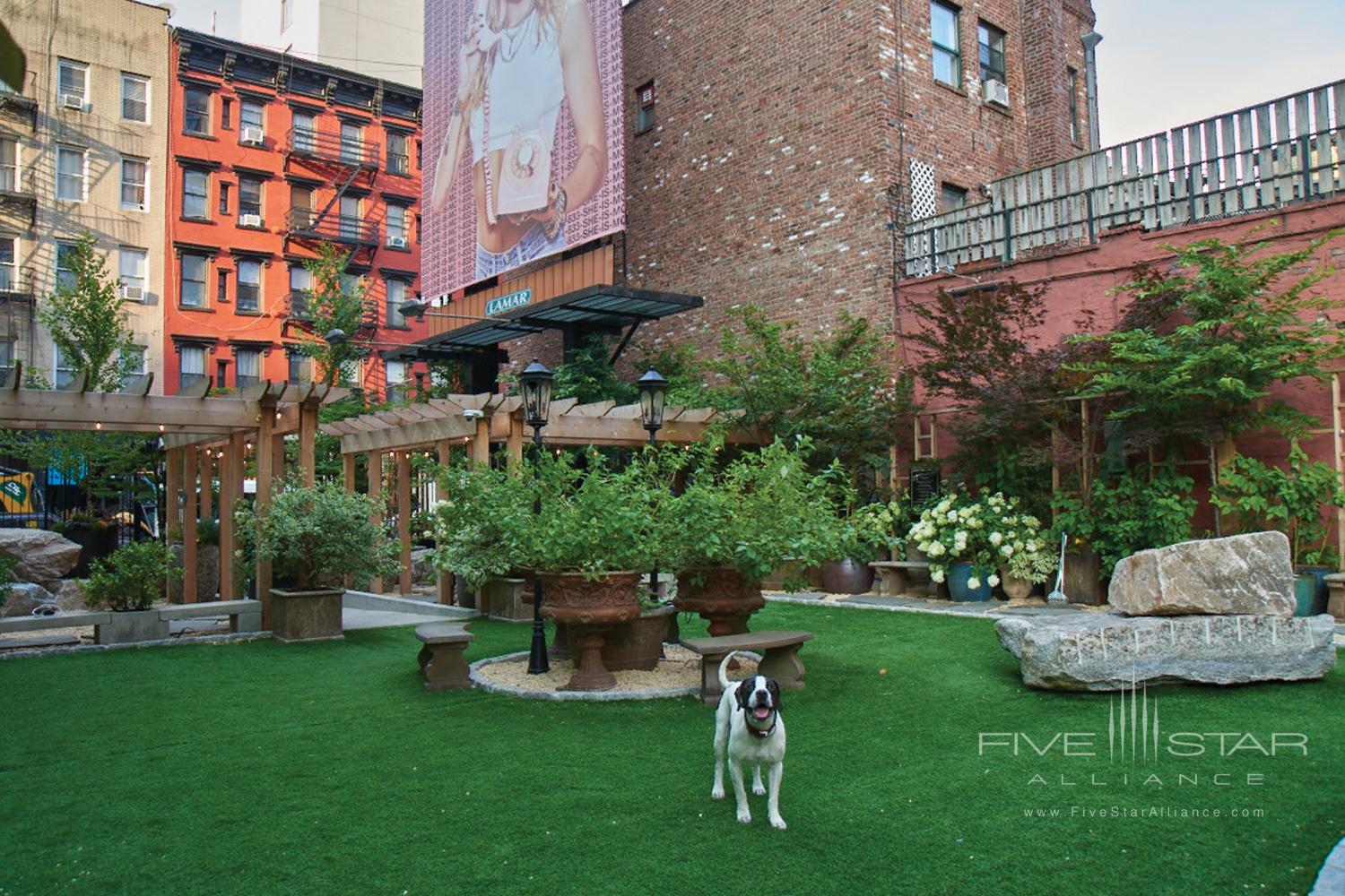 The Soho Grand Hotel's Dog Park