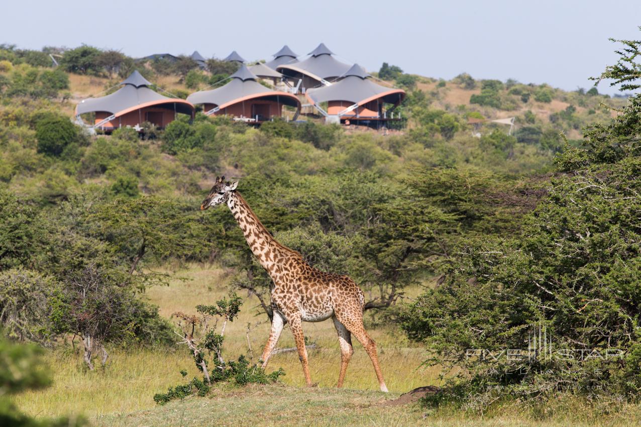 Mahali Mzuri Safari Camp