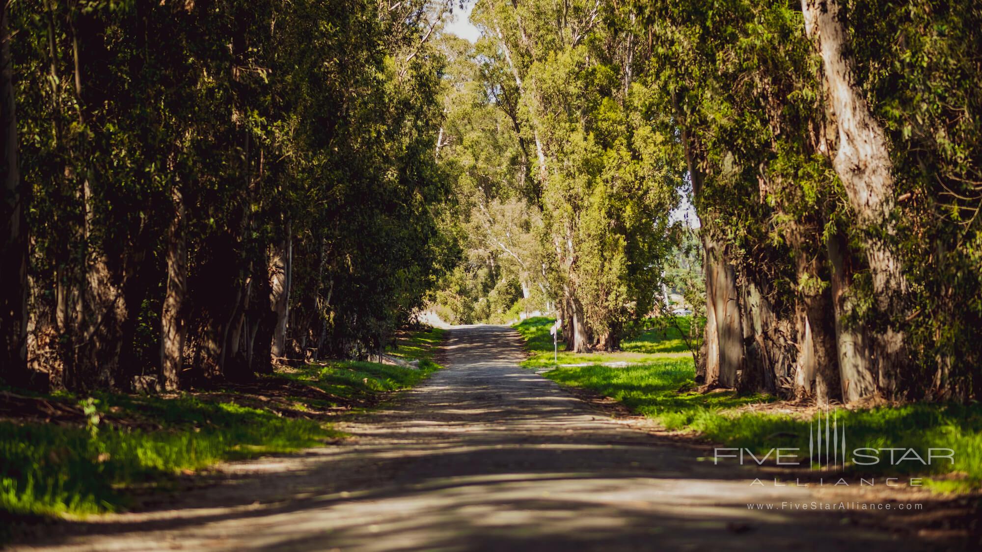 Stanly Ranch Entry Driveway