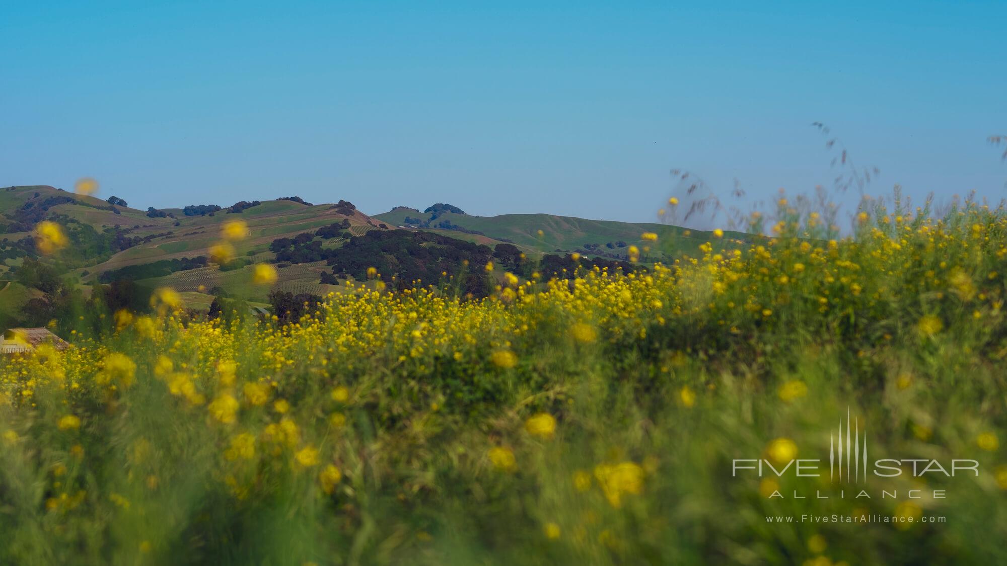 Stanly Ranch Landscape