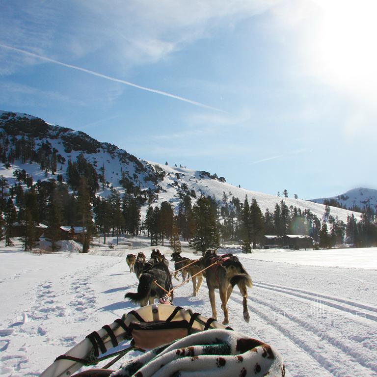 Goldener Hirsch Park City