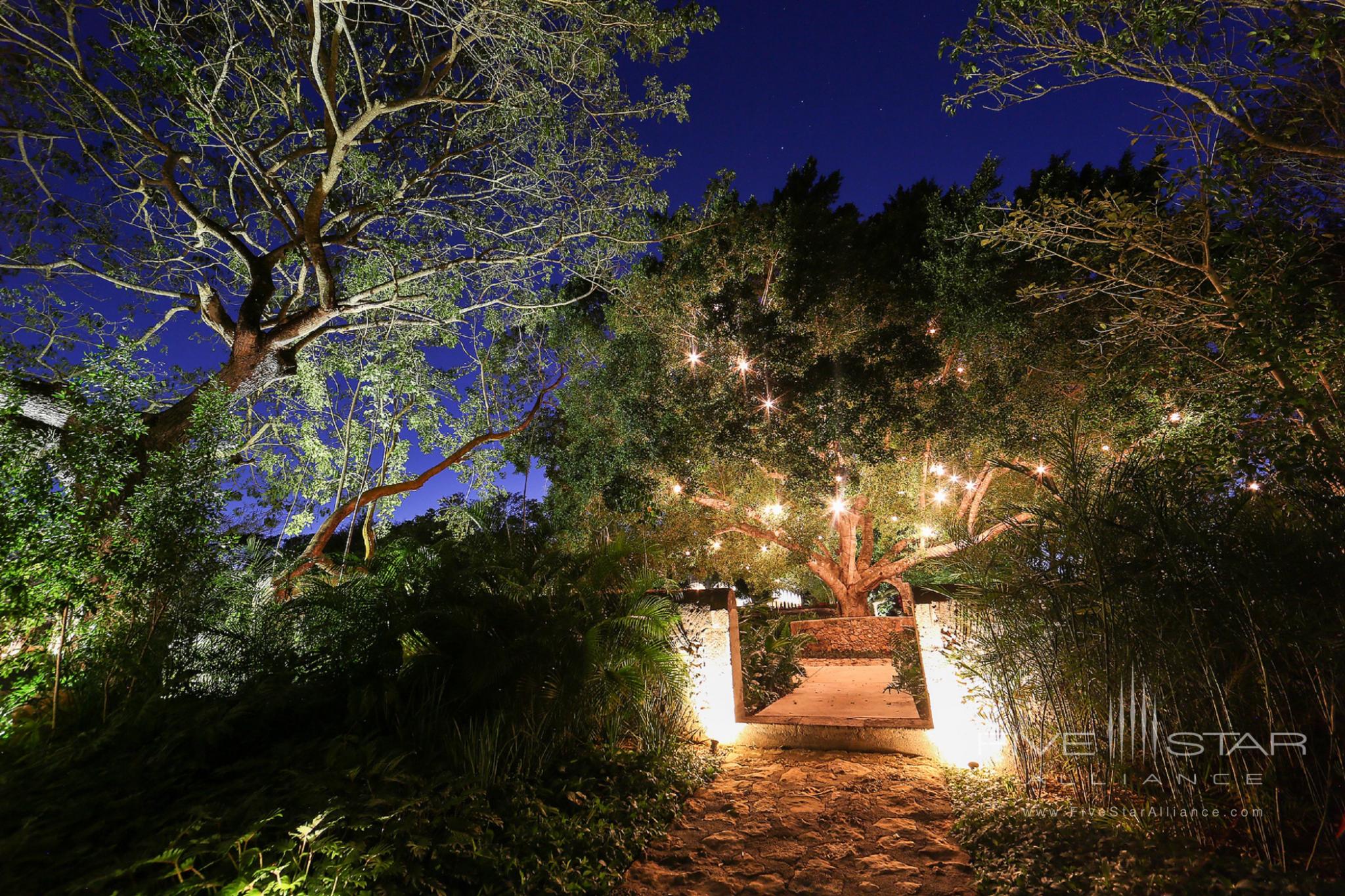 Lantern Tree Garden