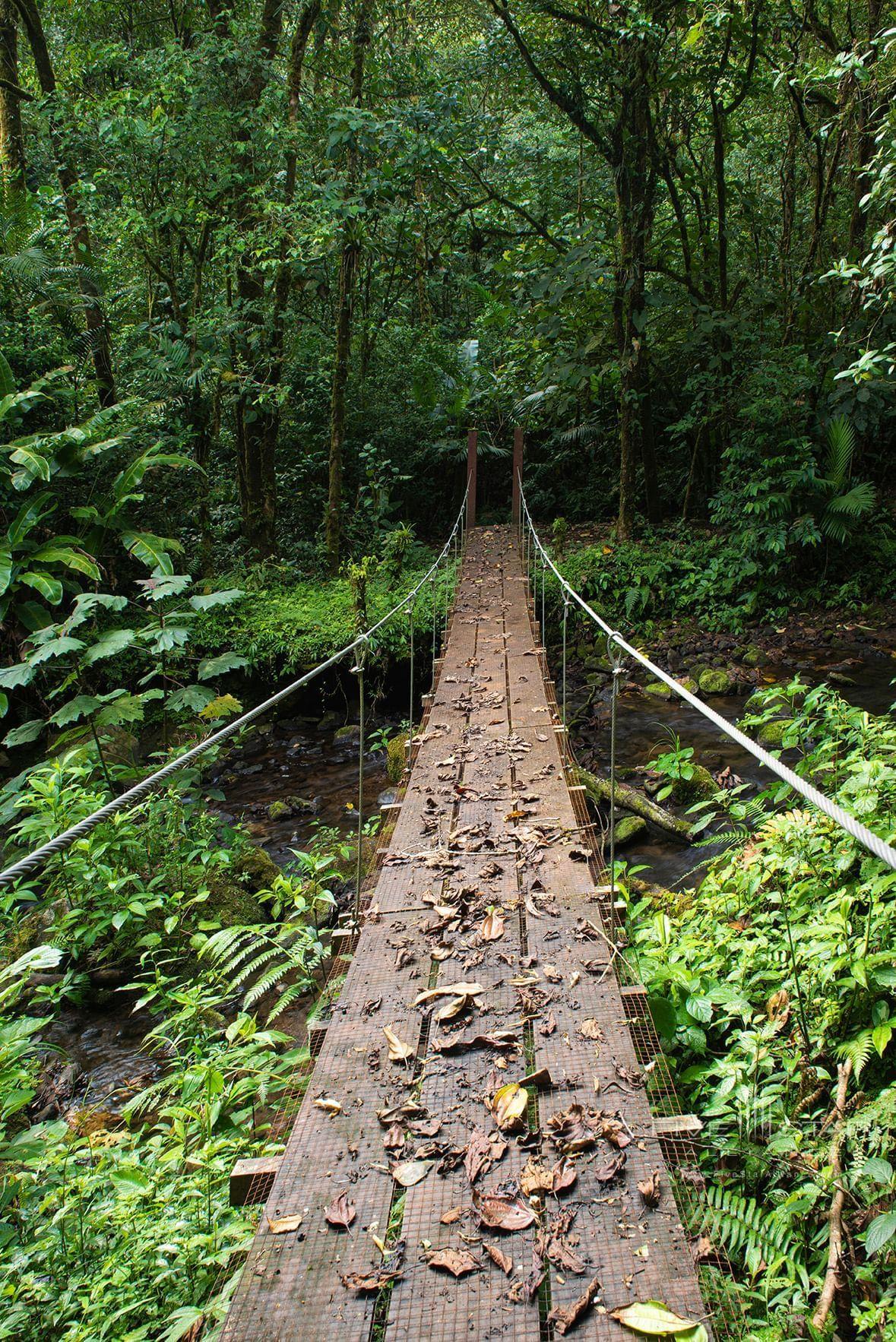 El Silencio Lodge &amp; Spa