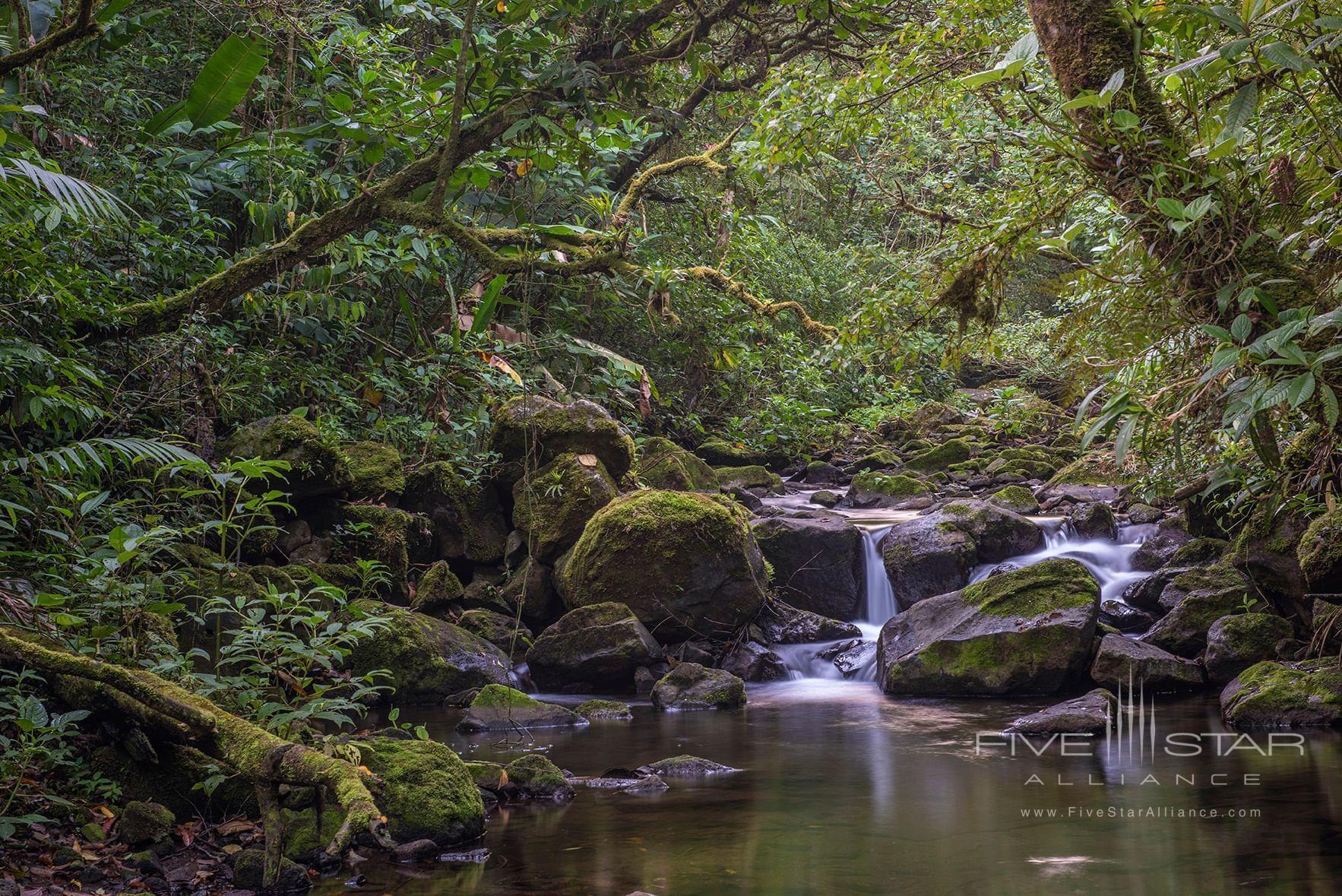 El Silencio Lodge &amp; Spa