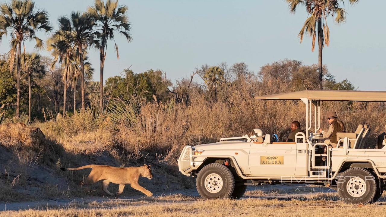 Xigera Safari Lodge