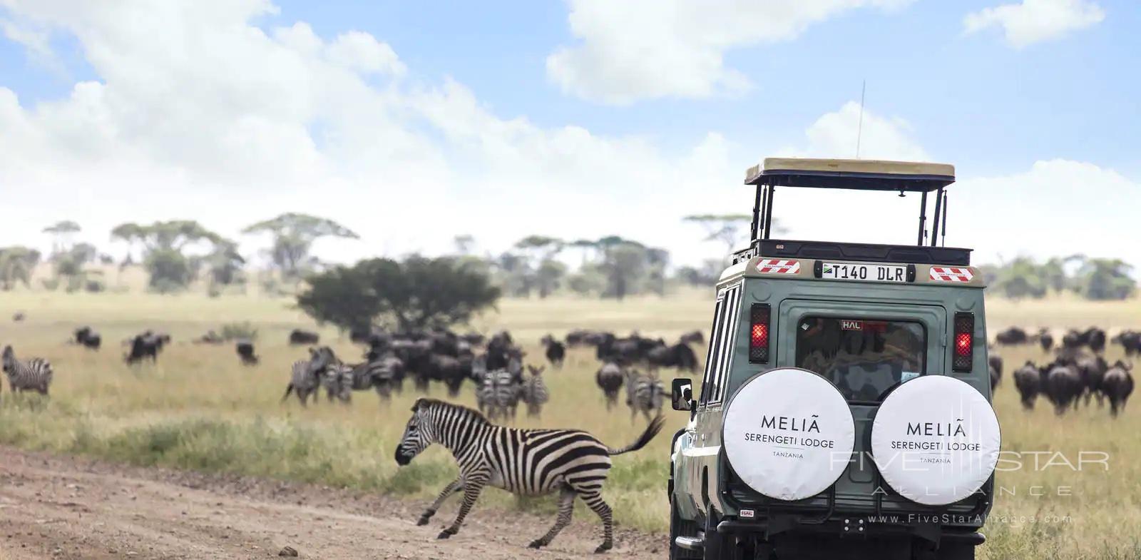 Melia Serengeti Lodge