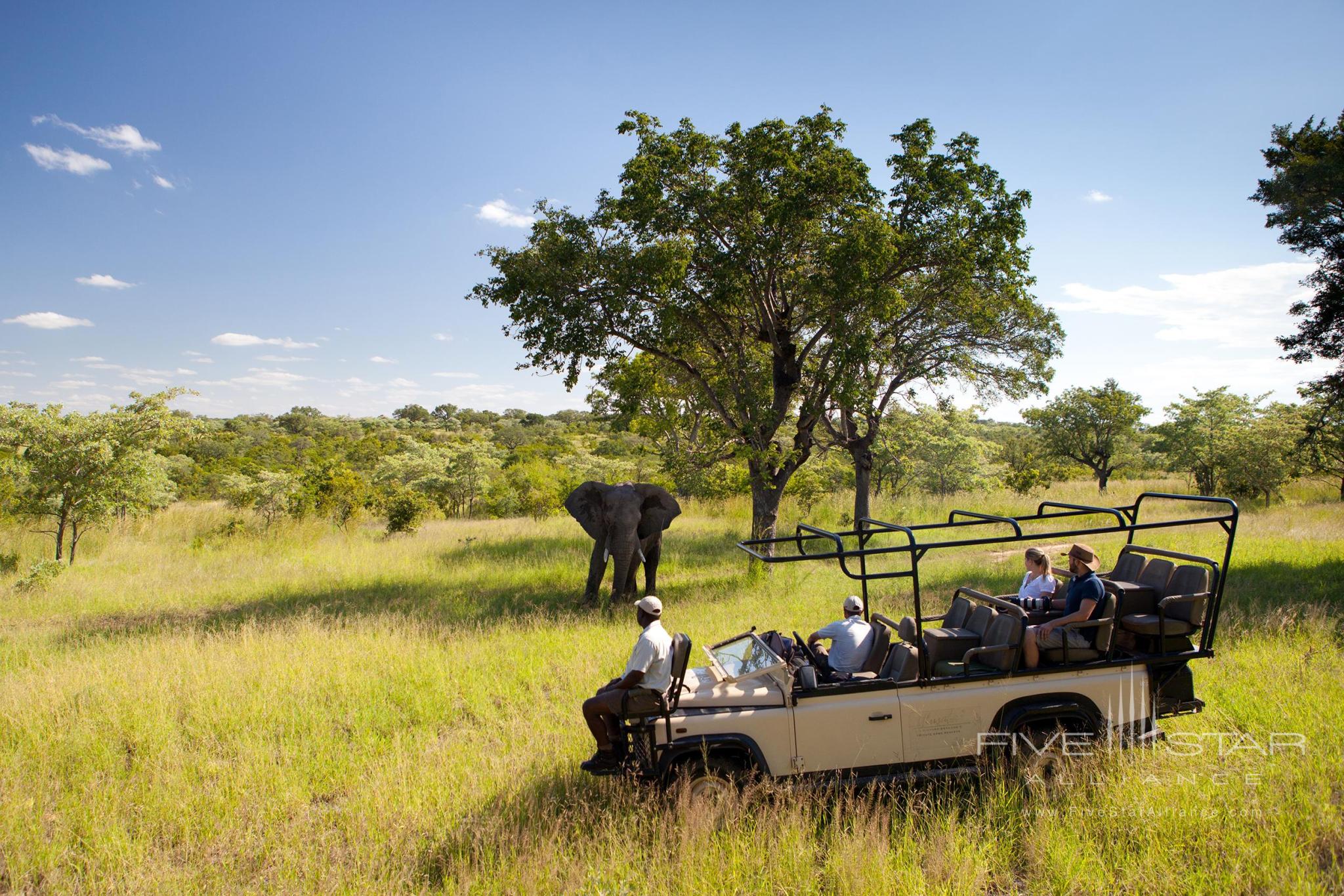 Ulusaba Rock Lodge Game Drive