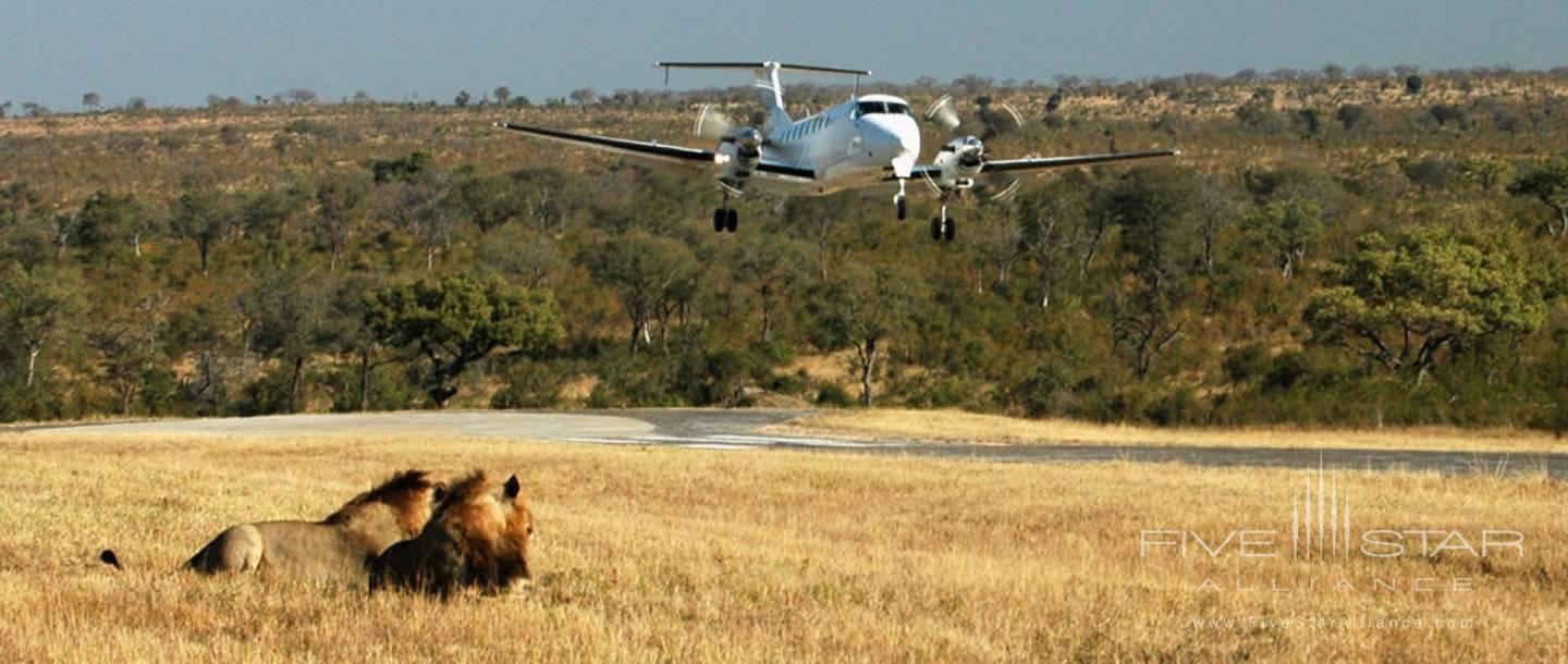 Ulusaba Rock Lodge Private Game Reserve