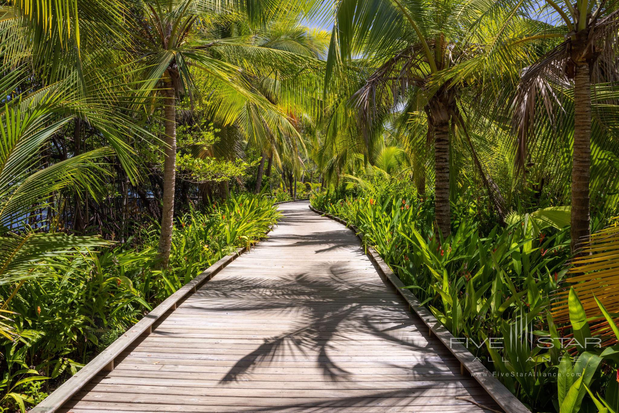 Nayara Bocas del Toro - Bocas Bali Villas