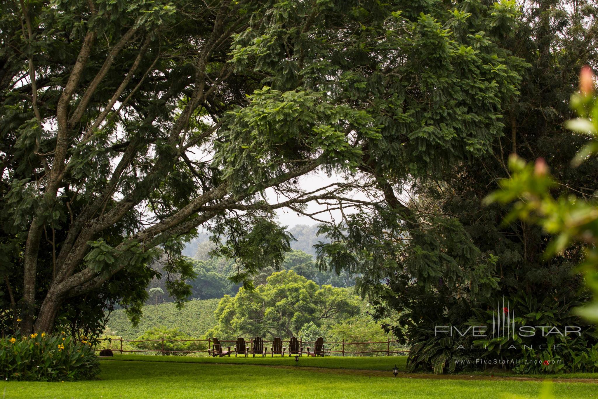 Elewana The Manor at Ngorongoro