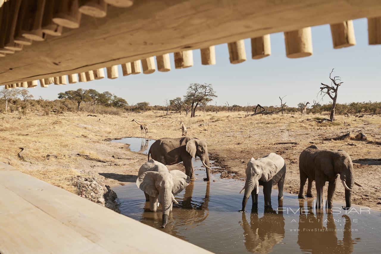 Savute Elephant Lodge Belmond Safari