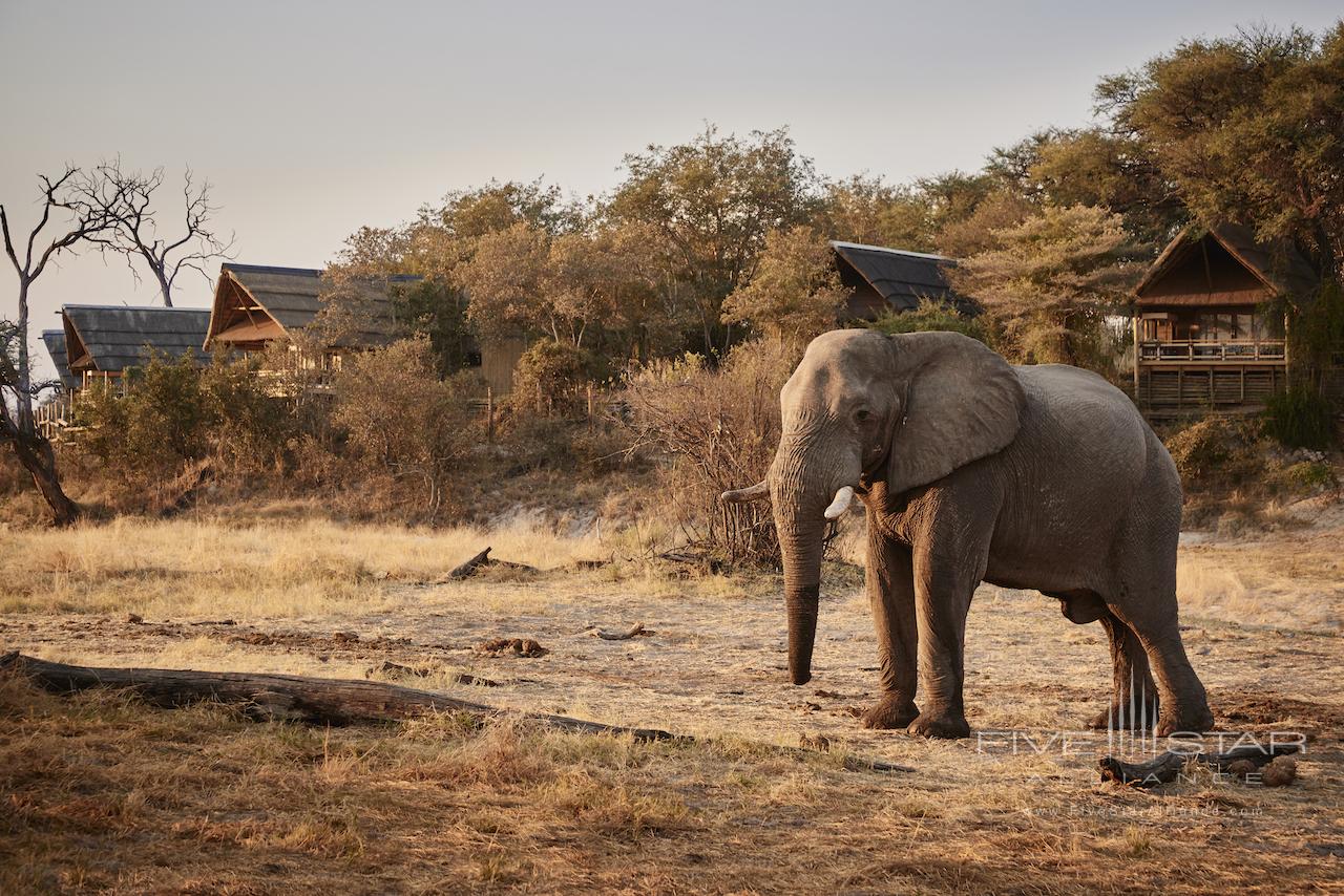 Savute Elephant Lodge Belmond Safari