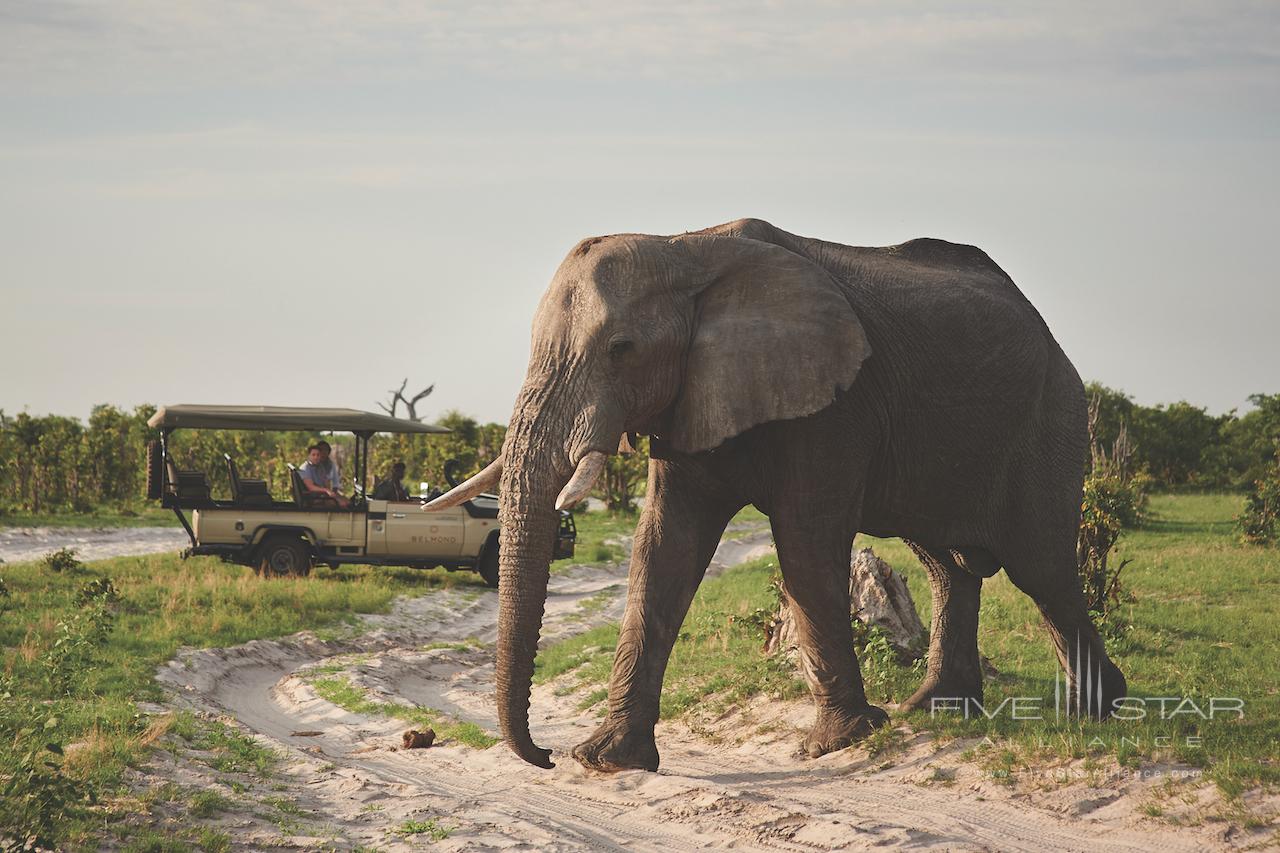 Savute Elephant Lodge Belmond Safari