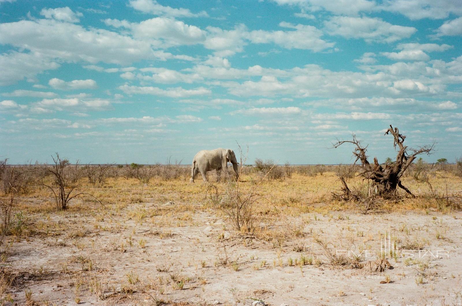 Habitas Namibia