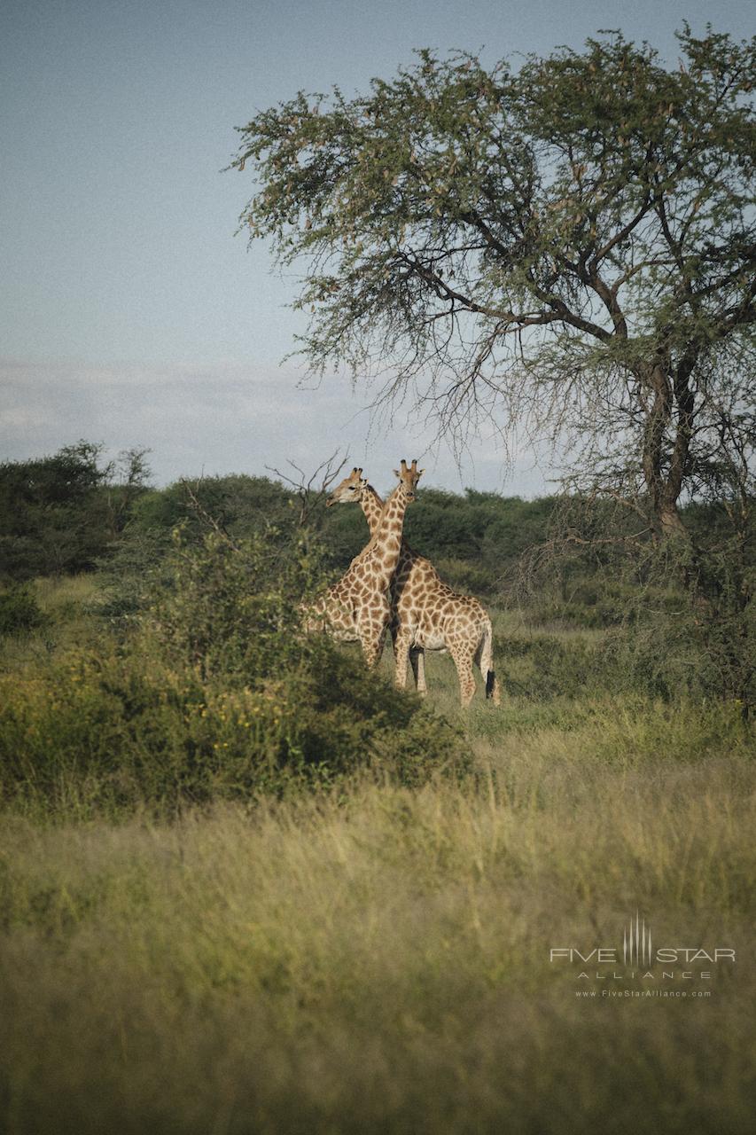 Habitas Namibia
