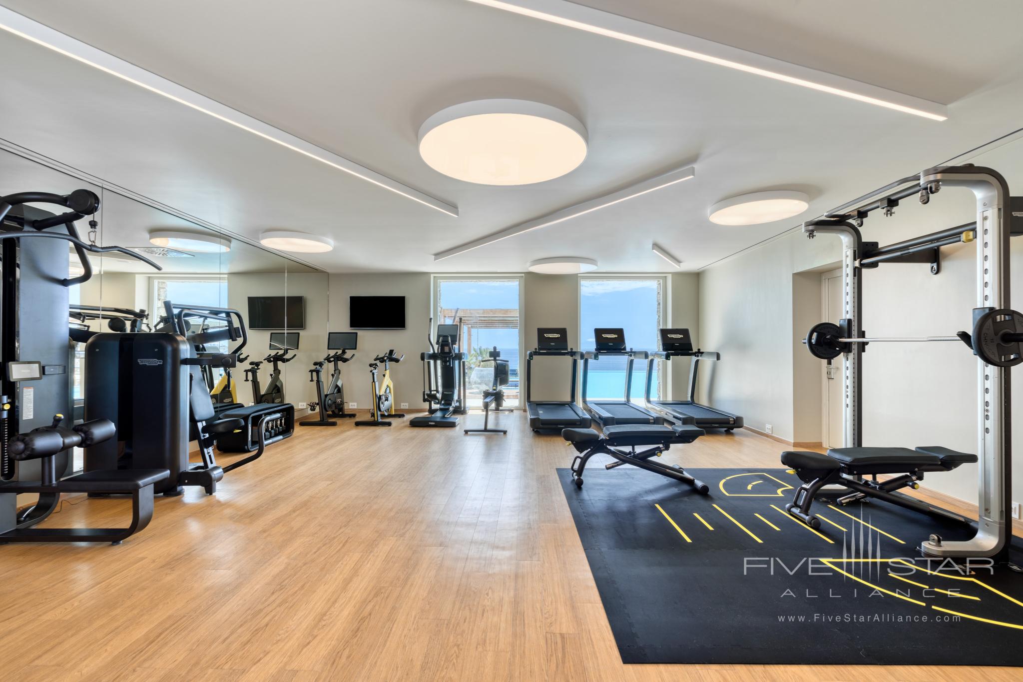 Santa Marina Mykonos Ginkgo Spa Fitness center