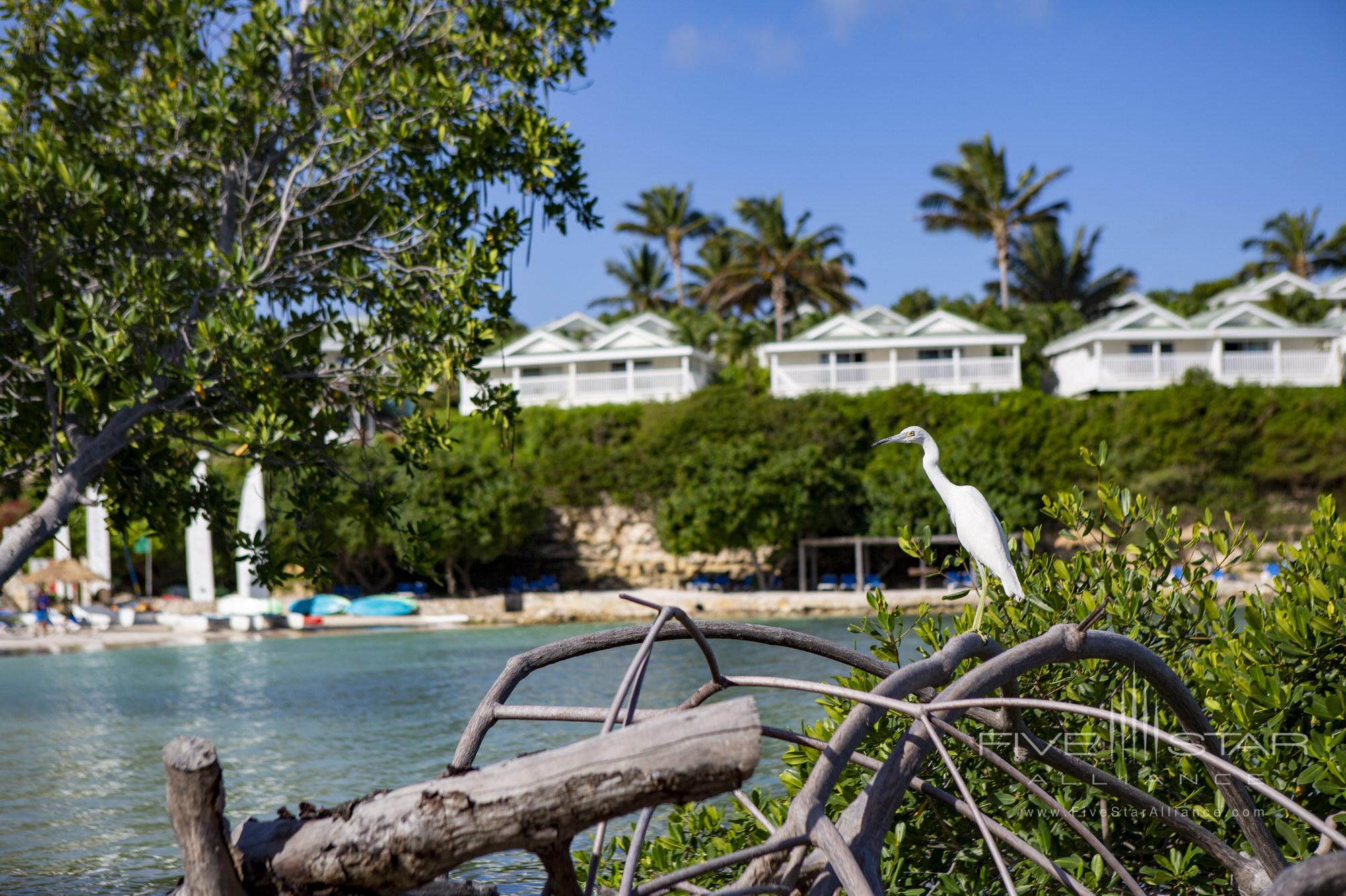 The Verandah Antigua Resort &amp; Spa