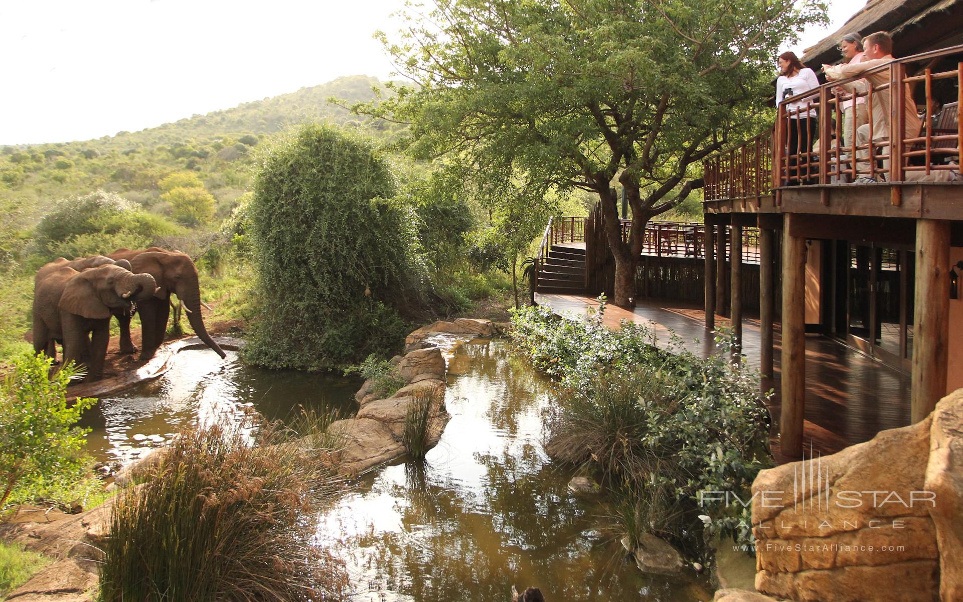 Thanda Private Game Reserve