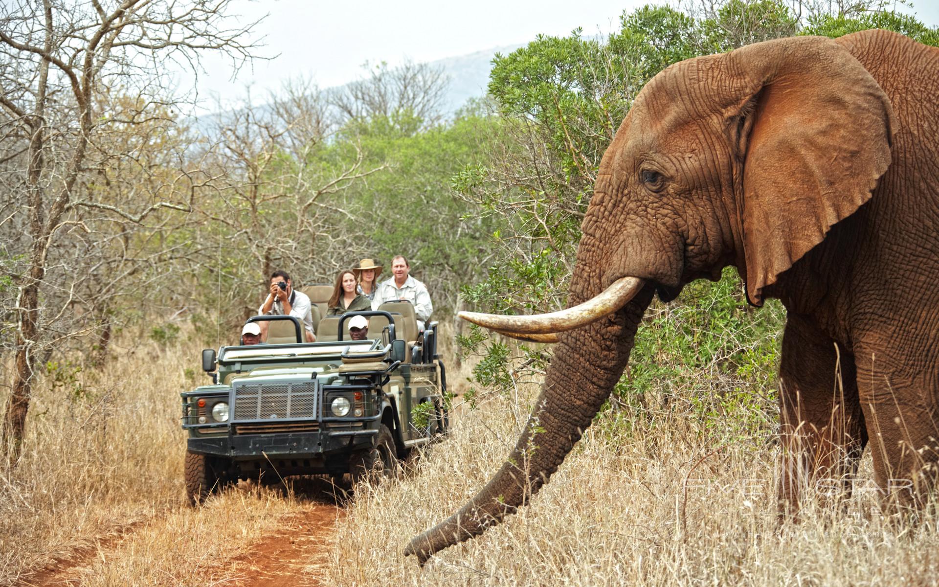 Thanda Private Game Reserve