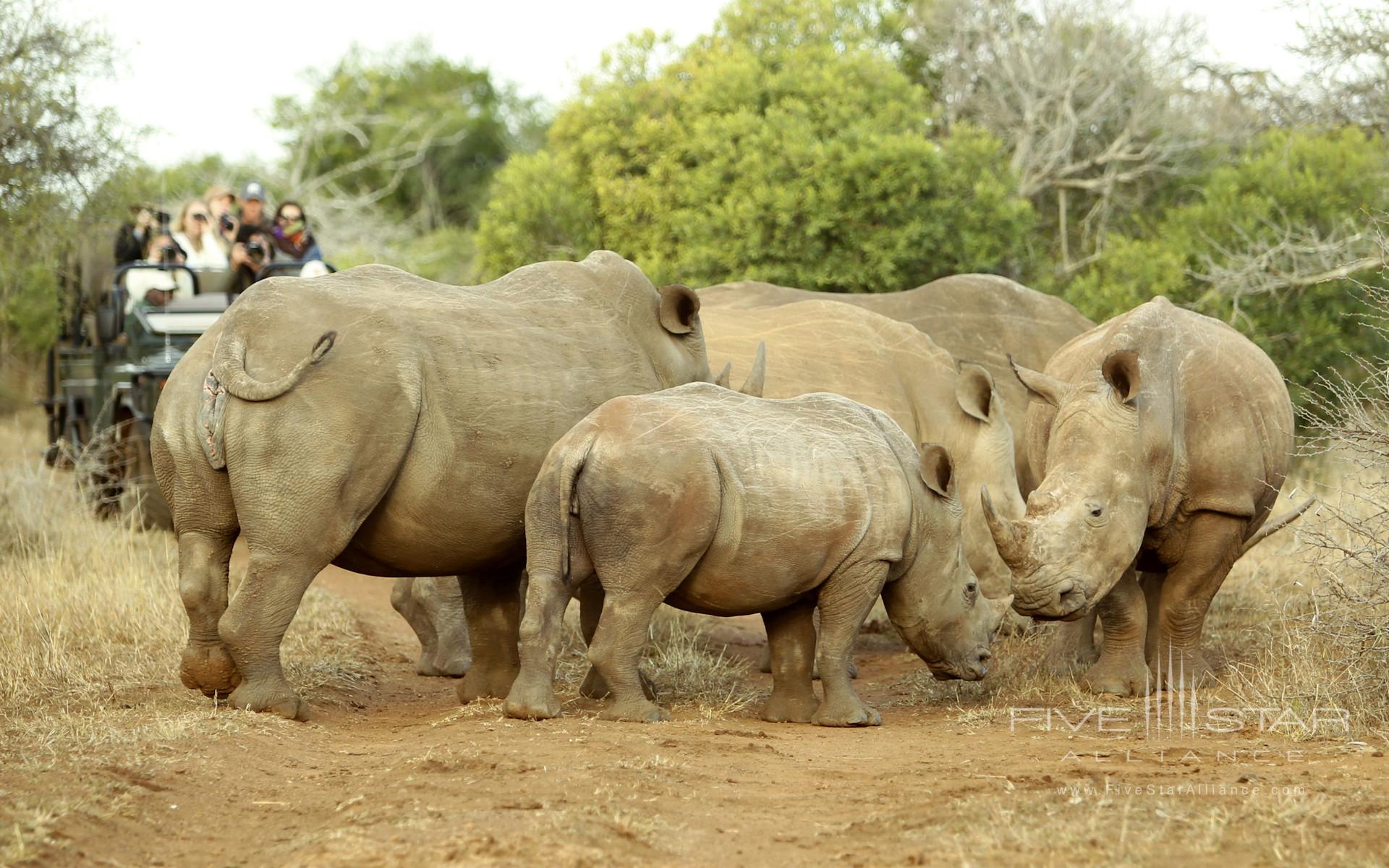 Thanda Private Game Reserve