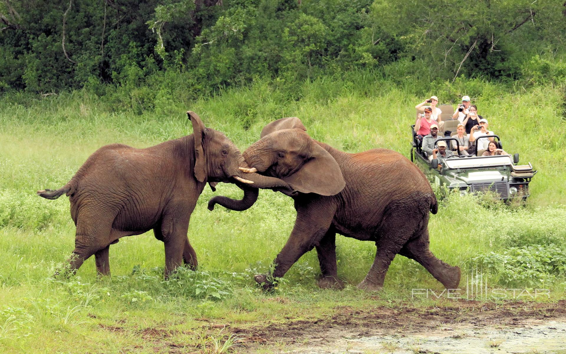 Thanda Private Game Reserve