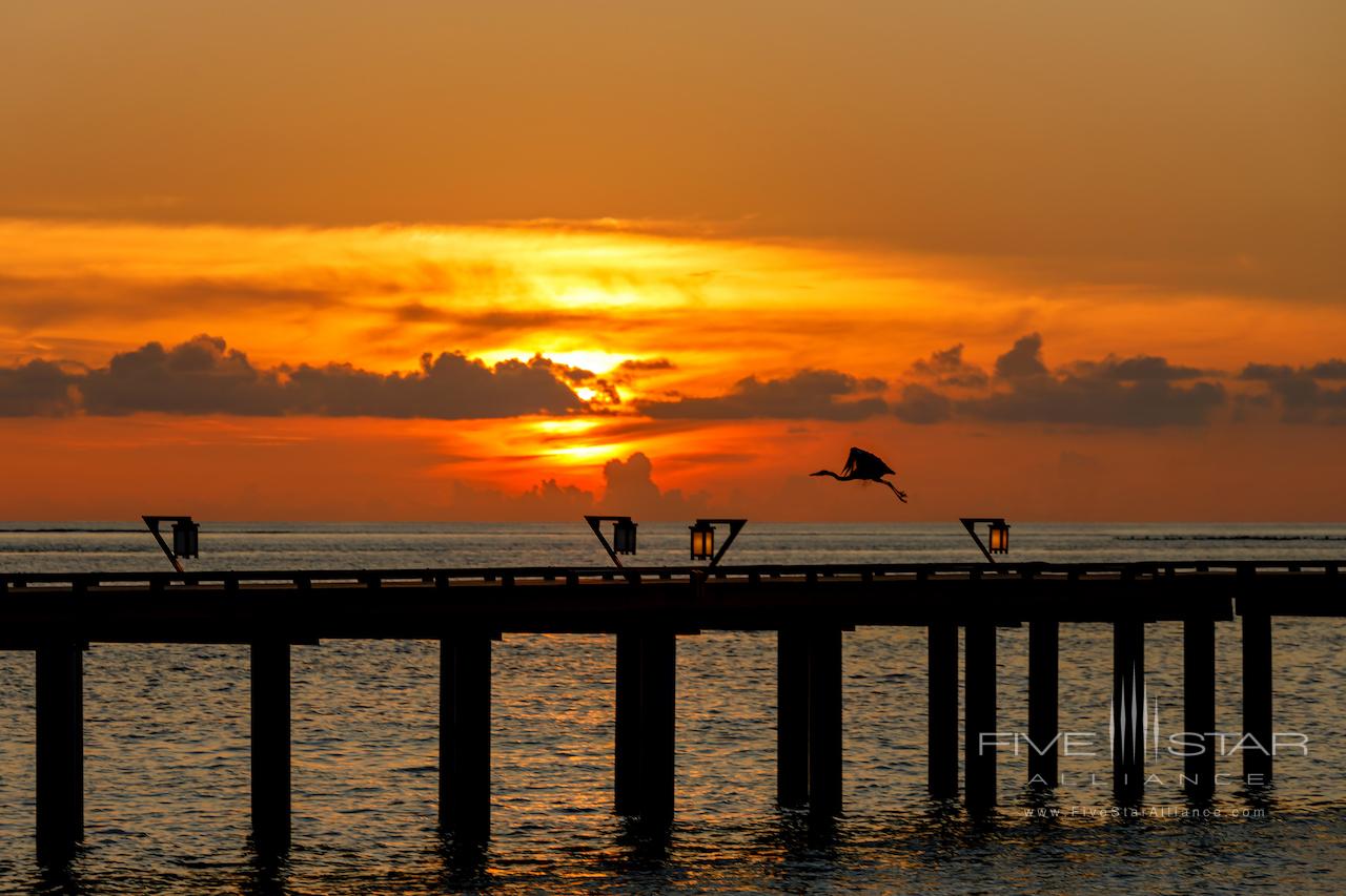 Ozen Reserve Bolifushi