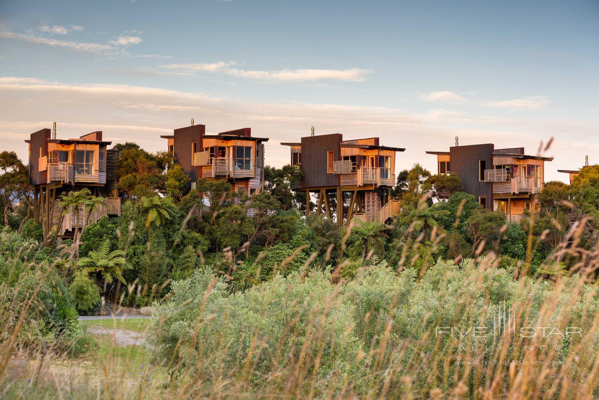 Hapuku Lodge and Tree Houses