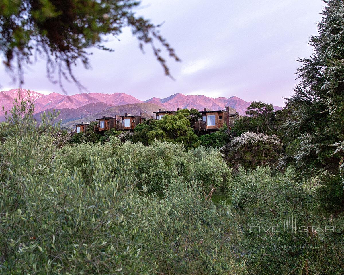 Hapuku Lodge and Tree Houses