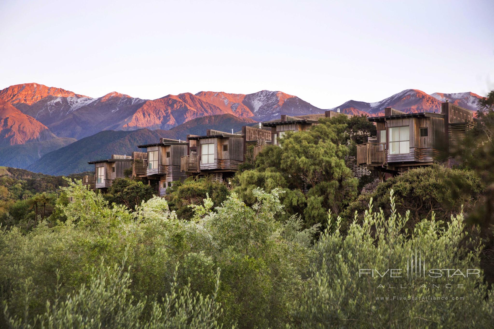 Hapuku Lodge and Tree Houses