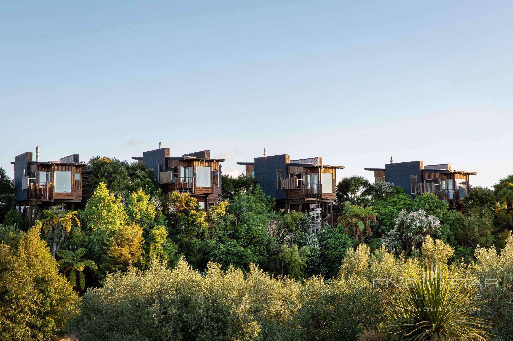 Hapuku Lodge and Tree Houses