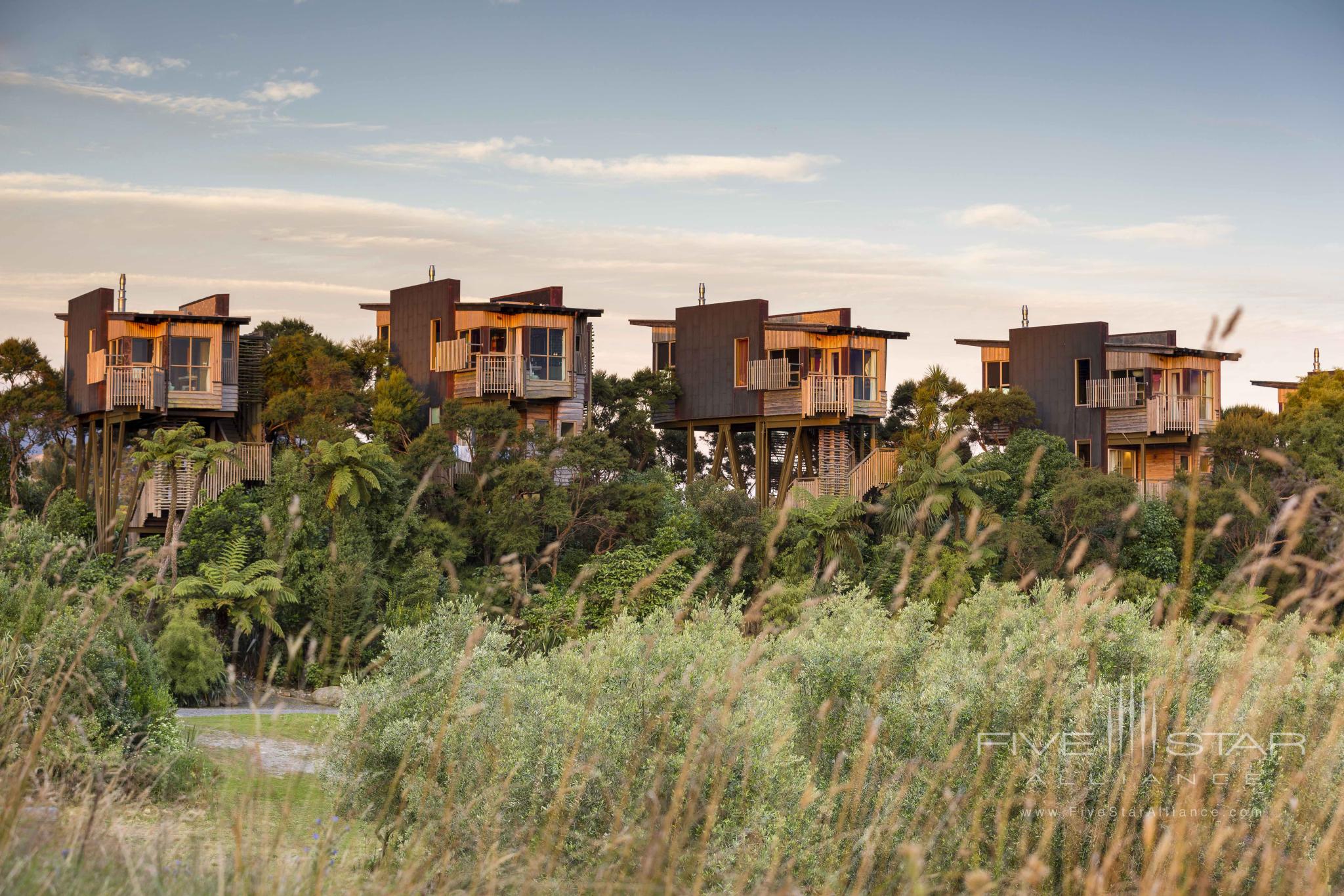 Hapuku Lodge and Tree Houses