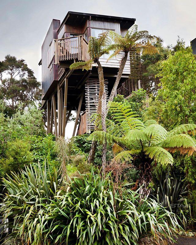 Hapuku Lodge and Tree Houses