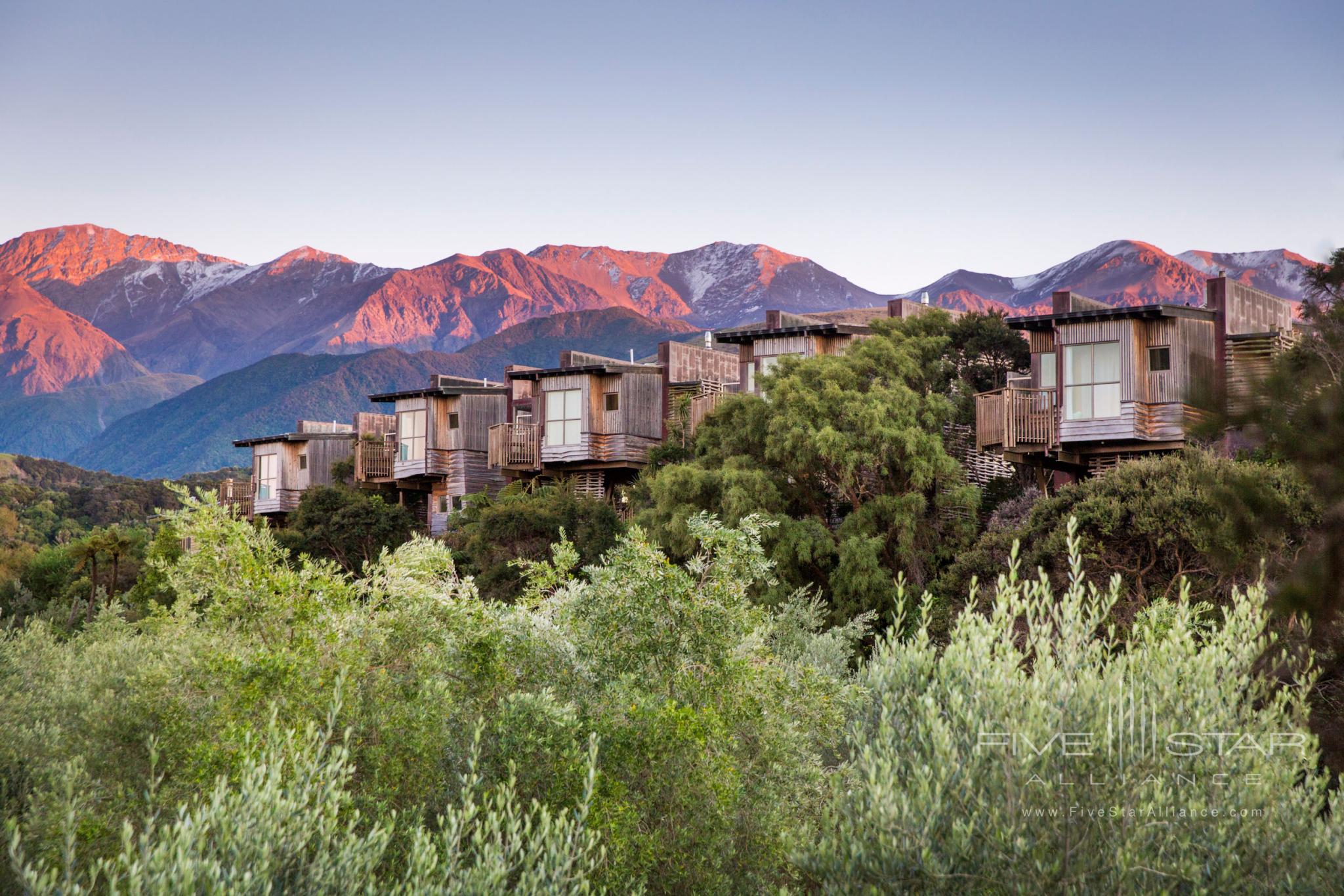 Hapuku Lodge and Tree Houses